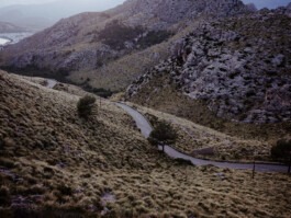 MURAT ASLAN PHOTOGRAPHY BLN