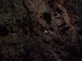 MURAT ASLAN PHOTOGRAPHY BLN