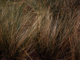 MURAT ASLAN PHOTOGRAPHY BLN