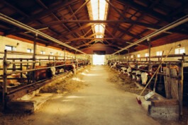 MURAT ASLAN PHOTOGRAPHY BLN