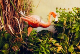 MURAT ASLAN PHOTOGRAPHY BLN