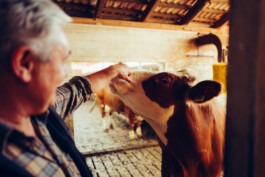 MURAT ASLAN PHOTOGRAPHY BLN