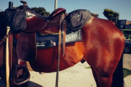 MURAT ASLAN PHOTOGRAPHY BLN