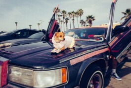 MURAT ASLAN PHOTOGRAPHY BLN