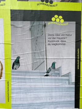 MURAT ASLAN PHOTOGRAPHY BLN