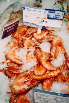 MURAT ASLAN PHOTOGRAPHY BLN