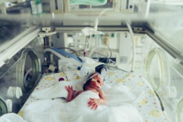 MURAT ASLAN PHOTOGRAPHY BLN