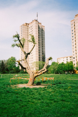 MURAT ASLAN PHOTOGRAPHY BLN