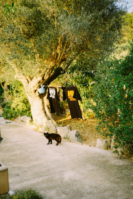 MURAT ASLAN PHOTOGRAPHY BLN