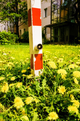 MURAT ASLAN PHOTOGRAPHY BLN