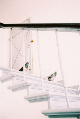 MURAT ASLAN PHOTOGRAPHY BLN