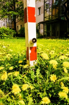 MURAT ASLAN PHOTOGRAPHY BLN