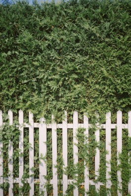 MURAT ASLAN PHOTOGRAPHY BLN