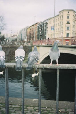 MURAT ASLAN PHOTOGRAPHY BLN