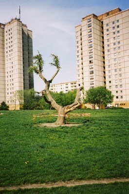 MURAT ASLAN PHOTOGRAPHY BLN