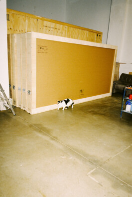 MURAT ASLAN PHOTOGRAPHY BLN