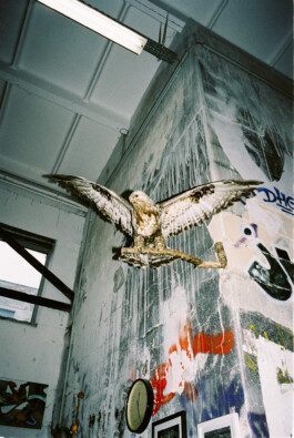 MURAT ASLAN PHOTOGRAPHY BLN