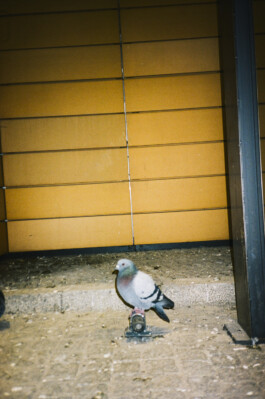 MURAT ASLAN PHOTOGRAPHY BLN