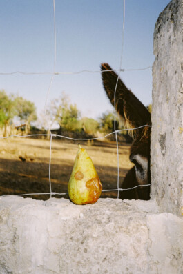 MURAT ASLAN PHOTOGRAPHY BLN