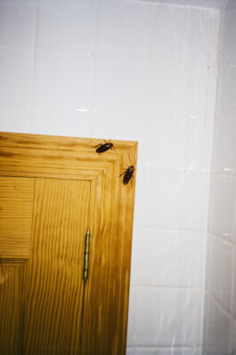 MURAT ASLAN PHOTOGRAPHY BLN