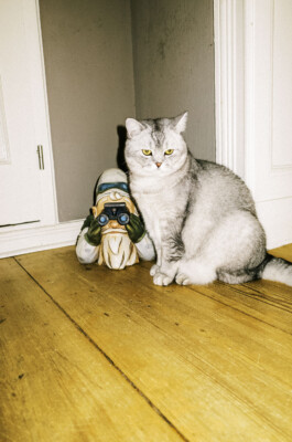 MURAT ASLAN PHOTOGRAPHY BLN