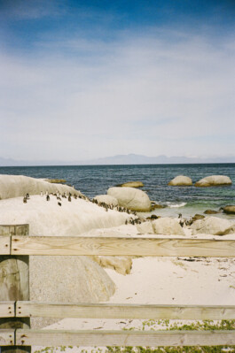 MURAT ASLAN PHOTOGRAPHY BLN