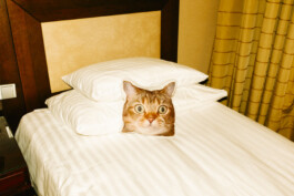 MURAT ASLAN PHOTOGRAPHY BLN