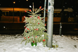 MURAT ASLAN PHOTOGRAPHY BLN