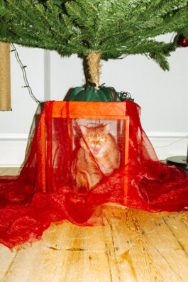 MURAT ASLAN PHOTOGRAPHY BLN